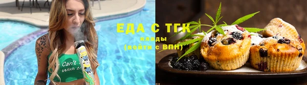 индика Зеленокумск