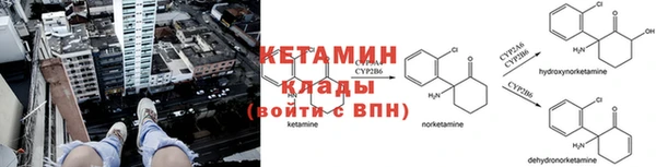 ПСИЛОЦИБИНОВЫЕ ГРИБЫ Каменногорск