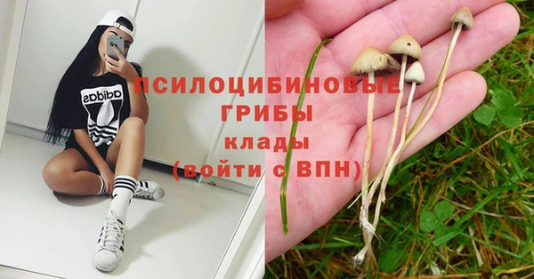 круглые Инта