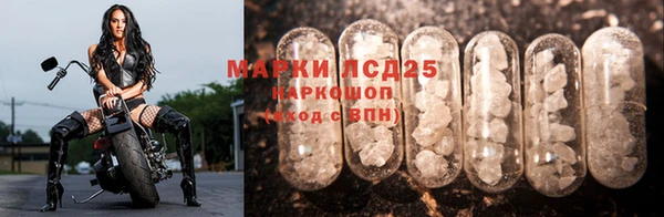индика Зеленокумск