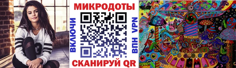 Купить где  Радужный  Псилоцибиновые грибы GOLDEN TEACHER 